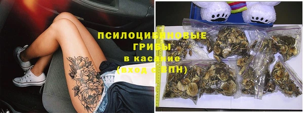 прущая мука Абаза